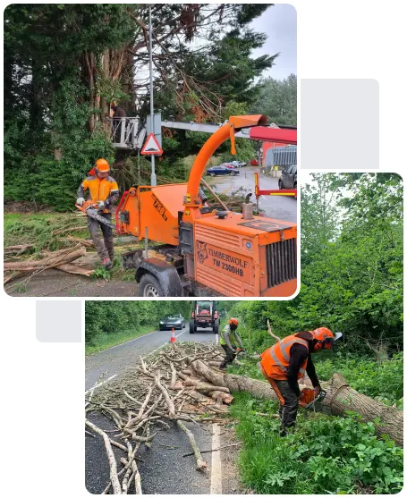 Tree Services